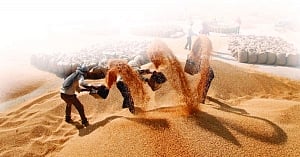 Cabinet hikes wheat MSP by Rs 105