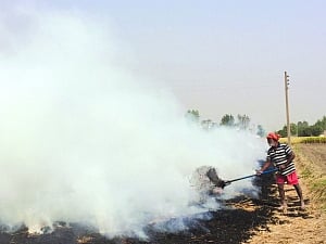 Centre’s Rs 575 cr fails to douse stubble fire