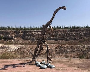 China building boom uncovers buried dinosaurs, makes a star