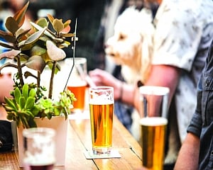Delhi to say ‘cheers’ to freshly brewed beer