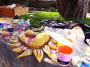 Durgotsav with a cause