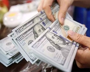 Forex reserves decline by USD 613.9 mn to USD 393.12 bn