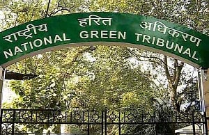 Frame guidelines to regulate functions in public parks: NGT