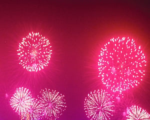 Green cracker conceived too late to bear fruits before Diwali