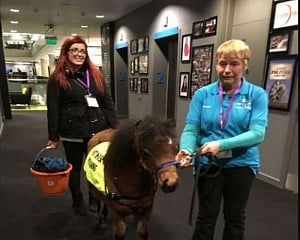 In a first, Indian-origin blind man to get guide horse in UK