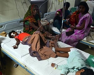 India, 15 other African countries account for 80% of world's malaria cases: WHO