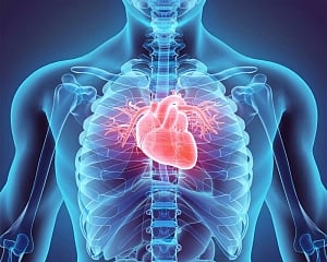 Irregular heartbeat may increase dementia risk
