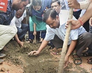 Kejriwal launches mass plantation drive across capital