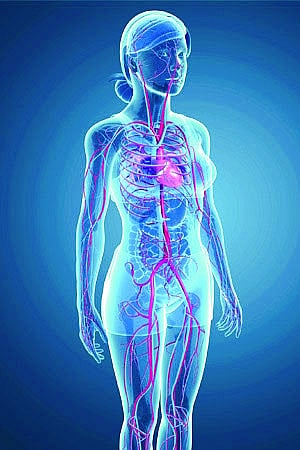 Matters of the heart: The looming health crisis