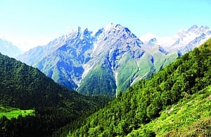 Nanda Devi Park regains pristine glory post human ban
