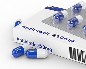 New antibiotic may protect against neurodegenerative diseases: Study