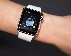 New update to watchOS released to fix bricking issue in Apple Watches