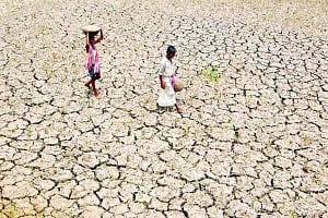 Rain aplenty but 253 dists face drought