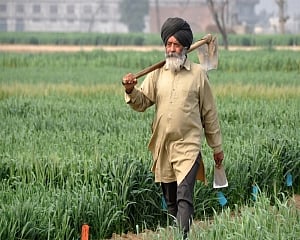 Sunshine in Punjab, Haryana after 3 days of rain