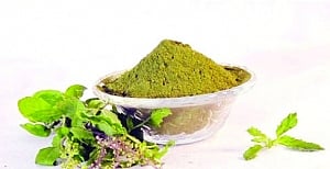 WarmFoods