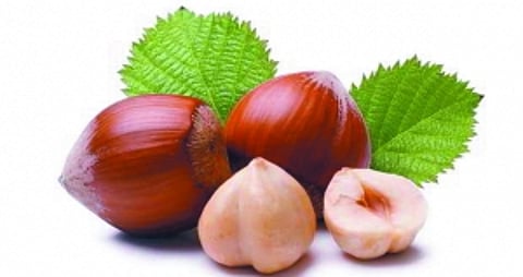 WarmFoods