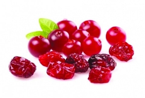 WarmFoods