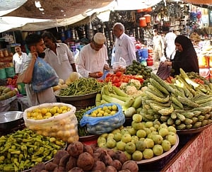 WPI inflation drops to 4-month low of 4.53 pc in Aug