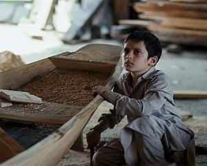 'Hamid' to now release on March 15