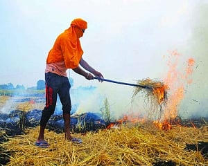 1/3rd stubble is burnt in UP, Punjab, Haryana