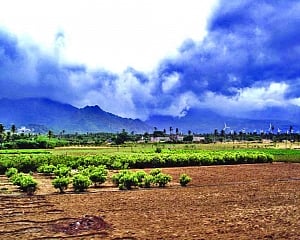 27% pre-monsoon rain deficit critical for Indian farming