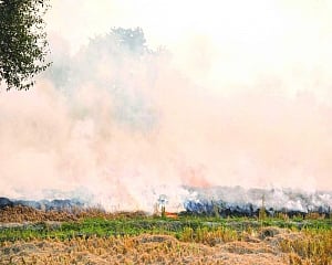 41% fall in farm fires in 2016-18, Centre tells SC