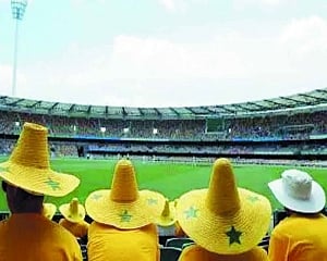 A bit of cricket and a summer break