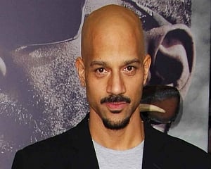 Albert Hughes to direct 'The Fugitive' remake for Warner Bros