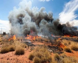 Australians warned worst bushfires may be yet to come