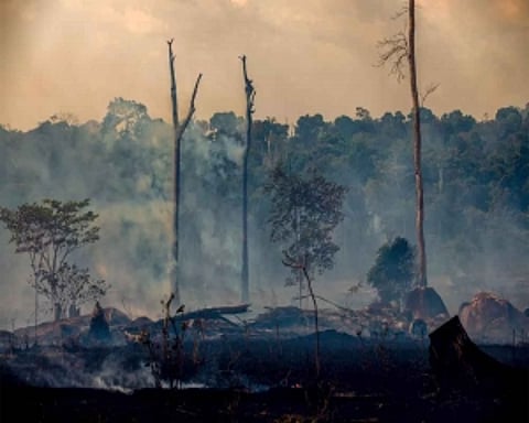 Bolsonaro limits ban on fires in Brazil to Amazon only