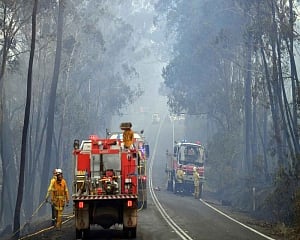 Bushfire state of emergency declared in Australia