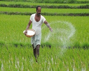 Cabinet likely to approve agri-package for farmers on Monday