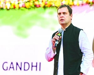 Cong plans UP strategy, Rahul to address 13 rallies