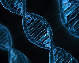 Could DNA screening test become norm to detect genetic diseases?