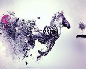 Design the Future