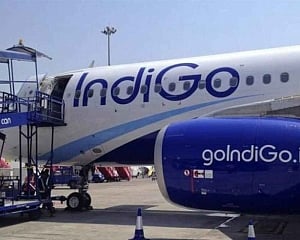 DGCA calls urgent meeting with Indigo, GoAir to review performance of Airbus Neo aircraft