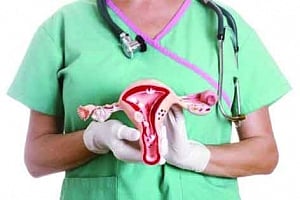 Dockyard | Femcare & eve appeal