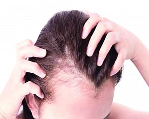 Docyard | No more bad hair days