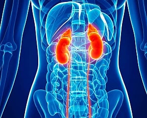 Drug combo may help treat advanced kidney cancer