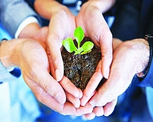 Enforced altruism