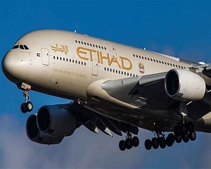 Etihad nominee on Jet board Robin Kamark quits