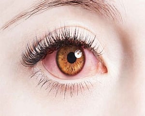 Excess hormones may cause condition leading to blindness in women: study