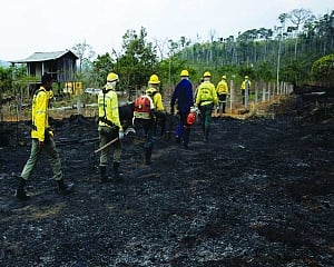 Fire in world’s lungs a cause for worry