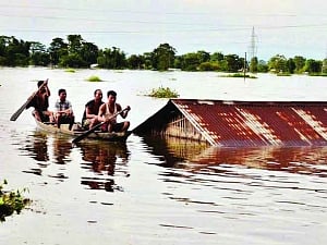 Flood fury
