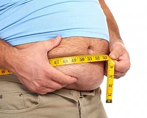 Genes linked to obesity identified