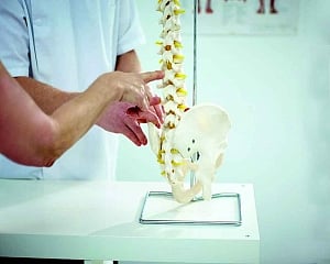 Help for brittle bones