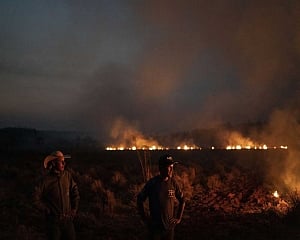 Hundreds of new fires in Brazil as Amazon outrage grows