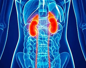 IIT Mandi's novel test can detect early signs of kidney damage