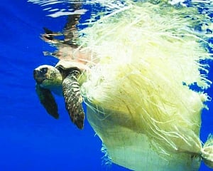 Innovation can break stranglehold of plastic