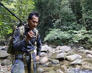Malaysian trackers shout London girl's name in jungle search